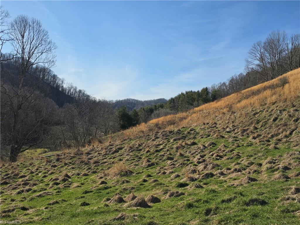 Tbd Roundabout Road Creston, NC 28615 - Photo 18 of 22