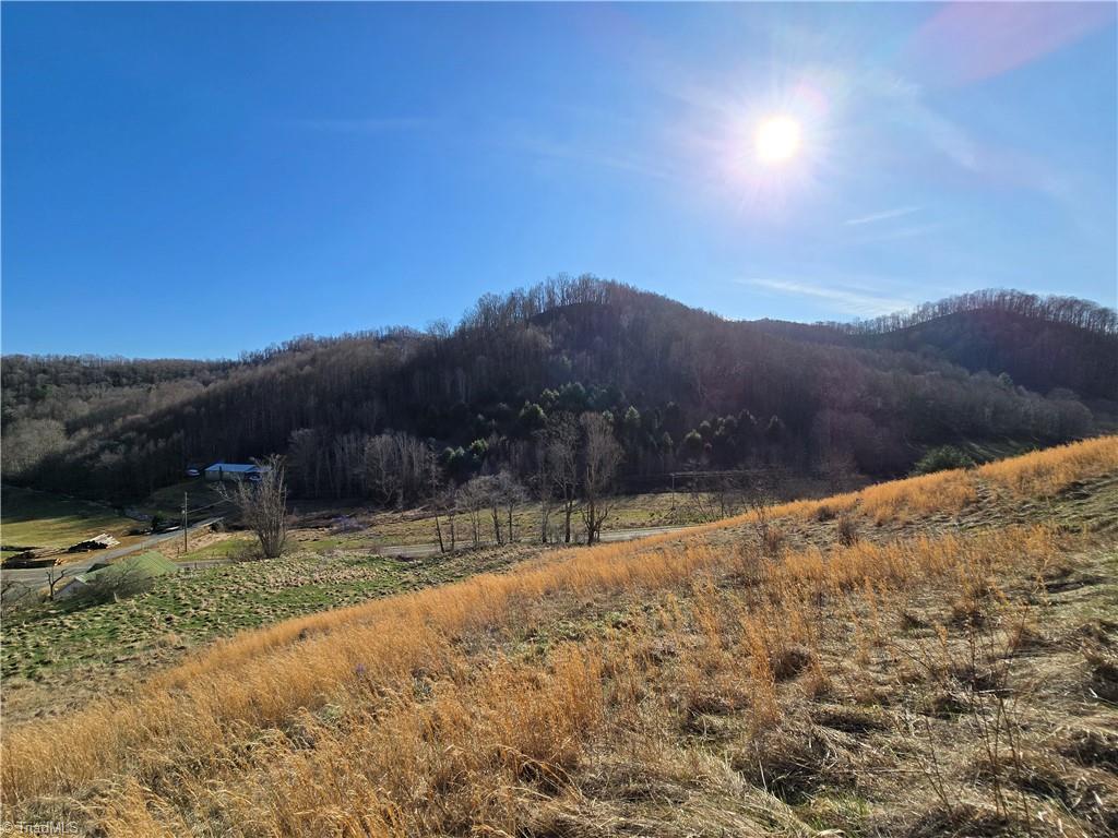Tbd Roundabout Road Creston, NC 28615 - Photo 20 of 22
