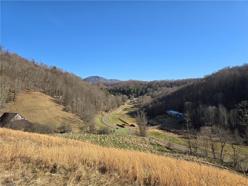 Tbd Roundabout Road Creston, NC 28615 - Photo 2 of 22