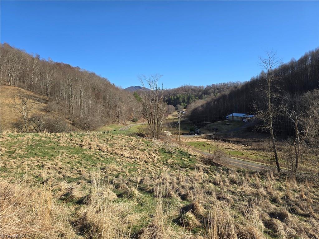 Tbd Roundabout Road Creston, NC 28615 - Photo 22 of 22