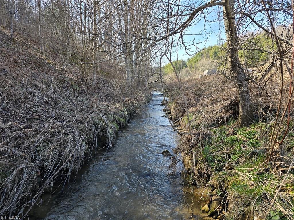 Tbd Roundabout Road Creston, NC 28615 - Photo 3 of 22