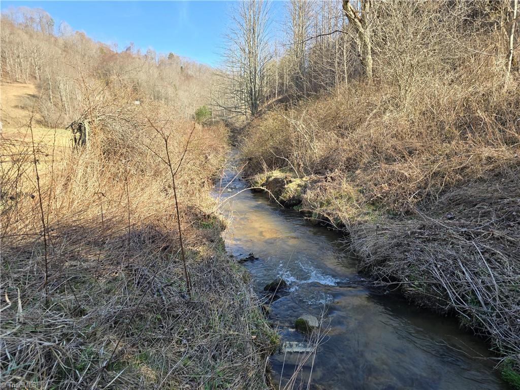 Tbd Roundabout Road Creston, NC 28615 - Photo 4 of 22