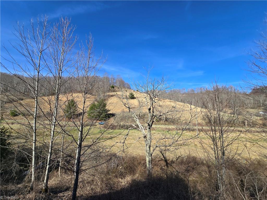 Tbd Roundabout Road Creston, NC 28615 - Photo 5 of 22