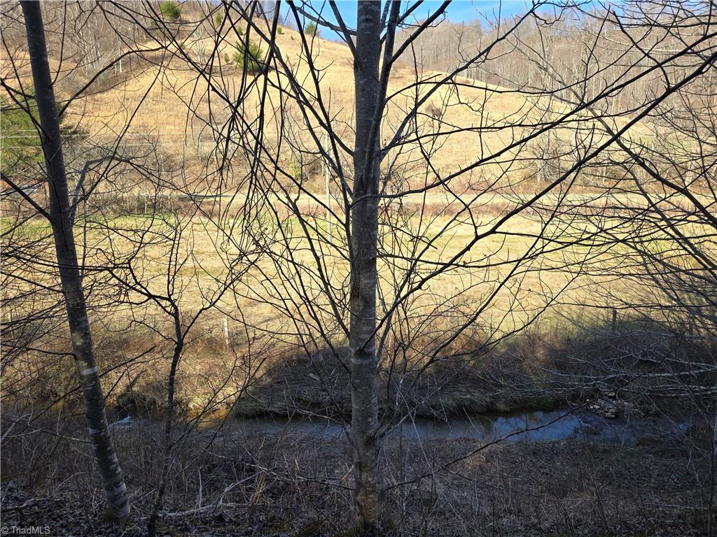 Tbd Roundabout Road Creston, NC 28615 - Photo 8 of 22