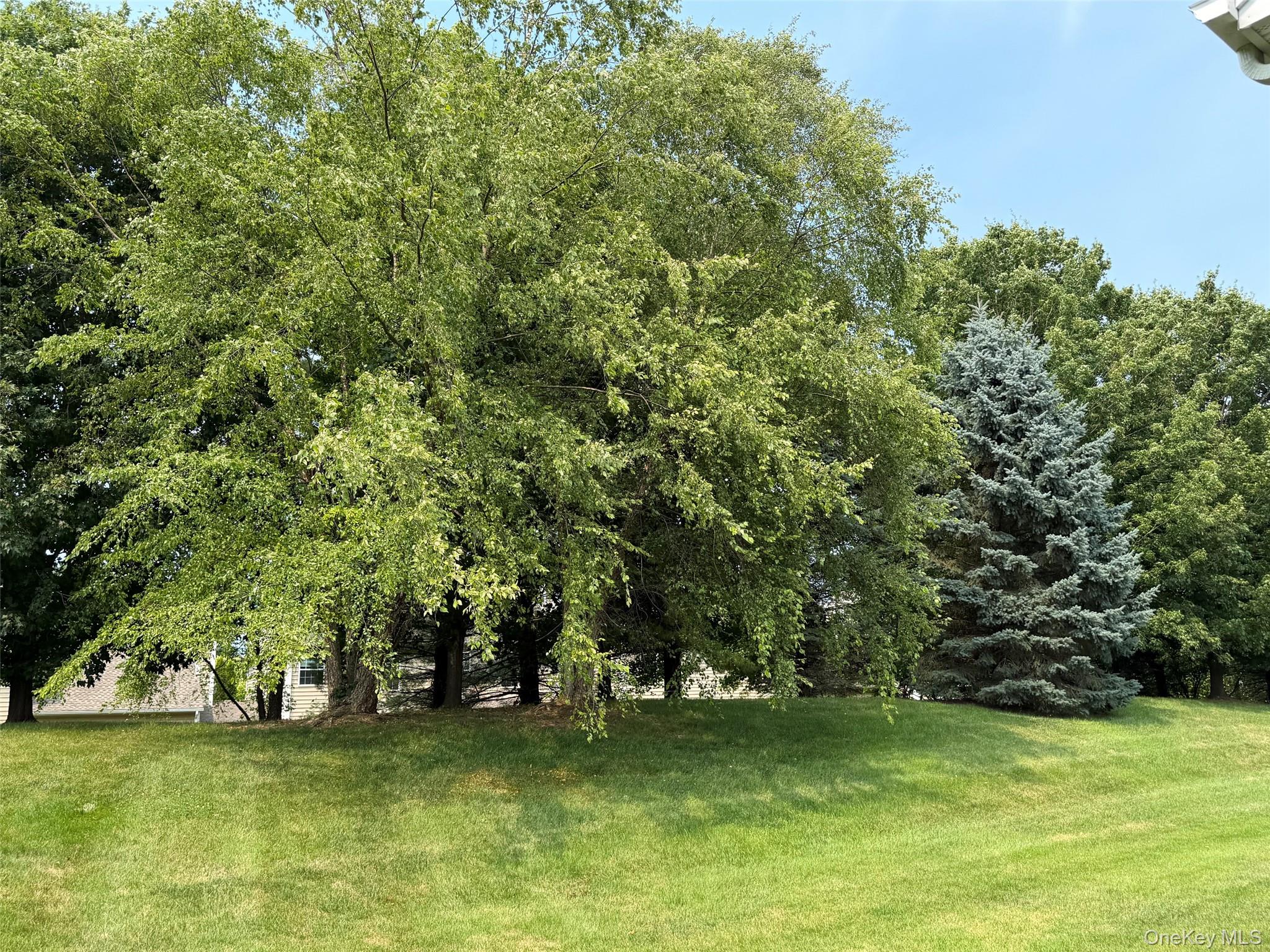 415 Vassar Place Fishkill, NY 12524 - Photo 3 of 4 View from sitting on your back patio