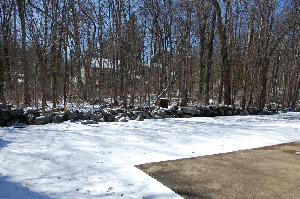 21 Paul Street Canton, MA 02021 - Photo 23 of 24 Gallery Image 23