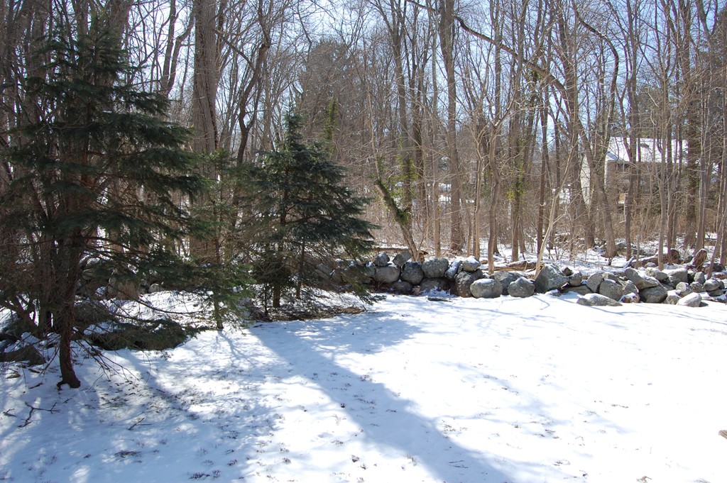 21 Paul Street Canton, MA 02021 - Photo 24 of 24 Gallery Image 24