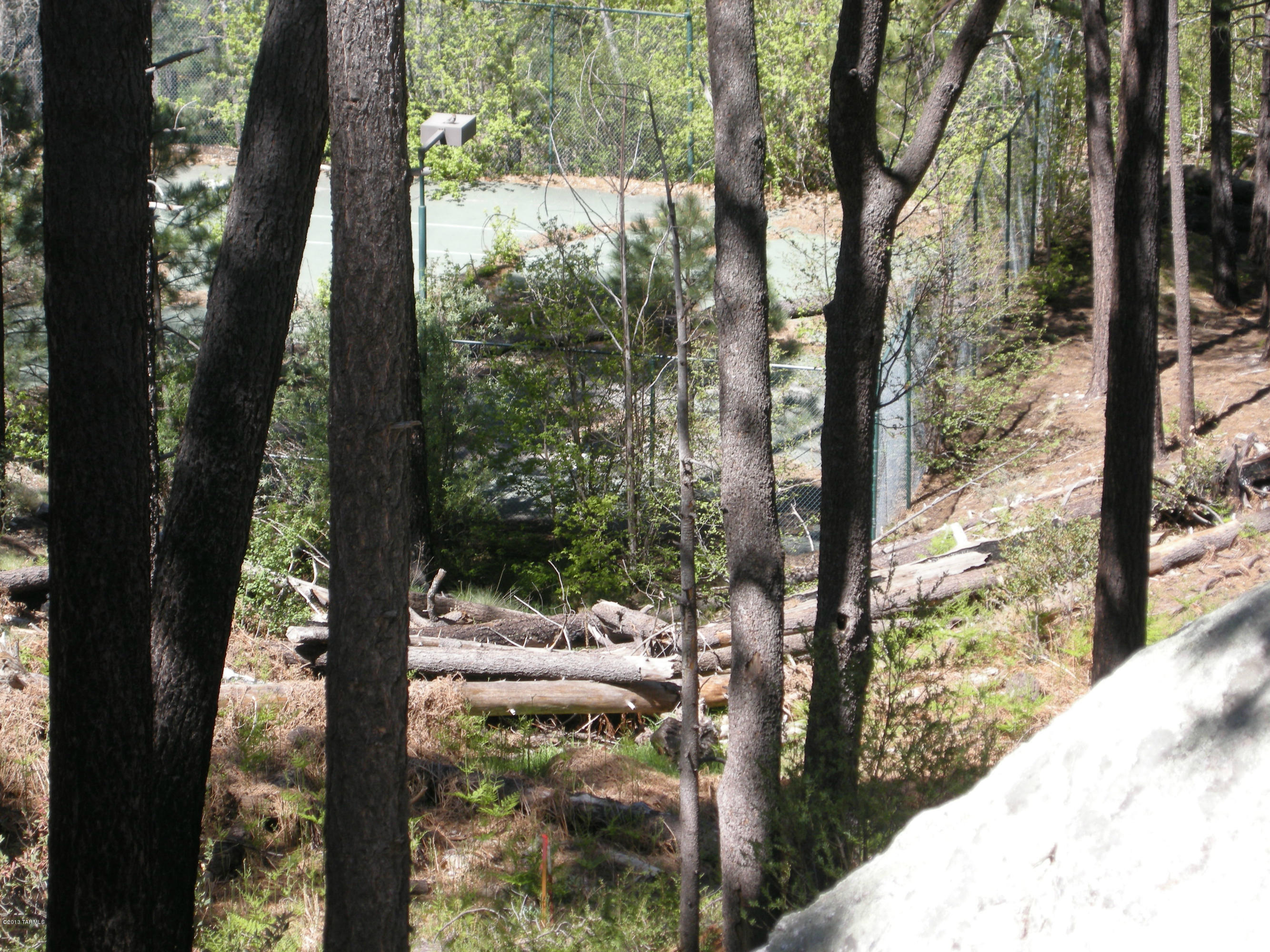 12482 North Middle Sabino Road Mount Lemmon, AZ 85619 - Photo 8 of 12