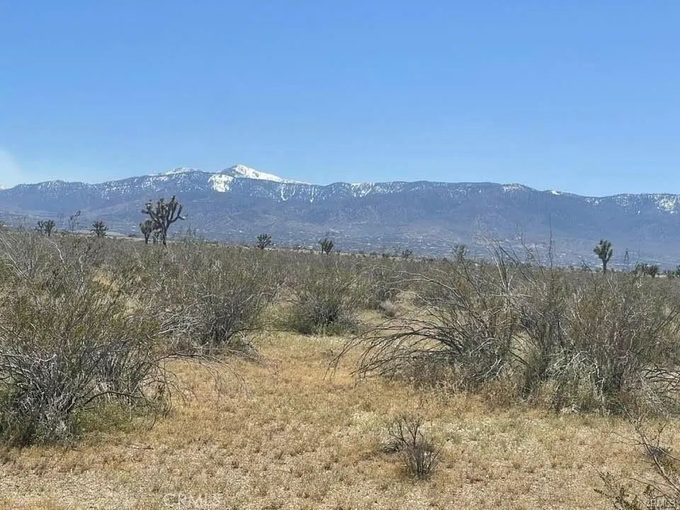 0 Dos Palmas Road Pinon Hills, CA 92372 - Photo 17 of 18