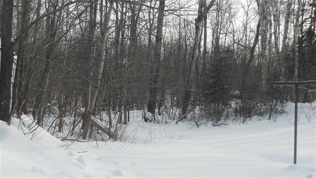 4866 Arnold Road Duluth, MN 55803 - Photo 2 of 9