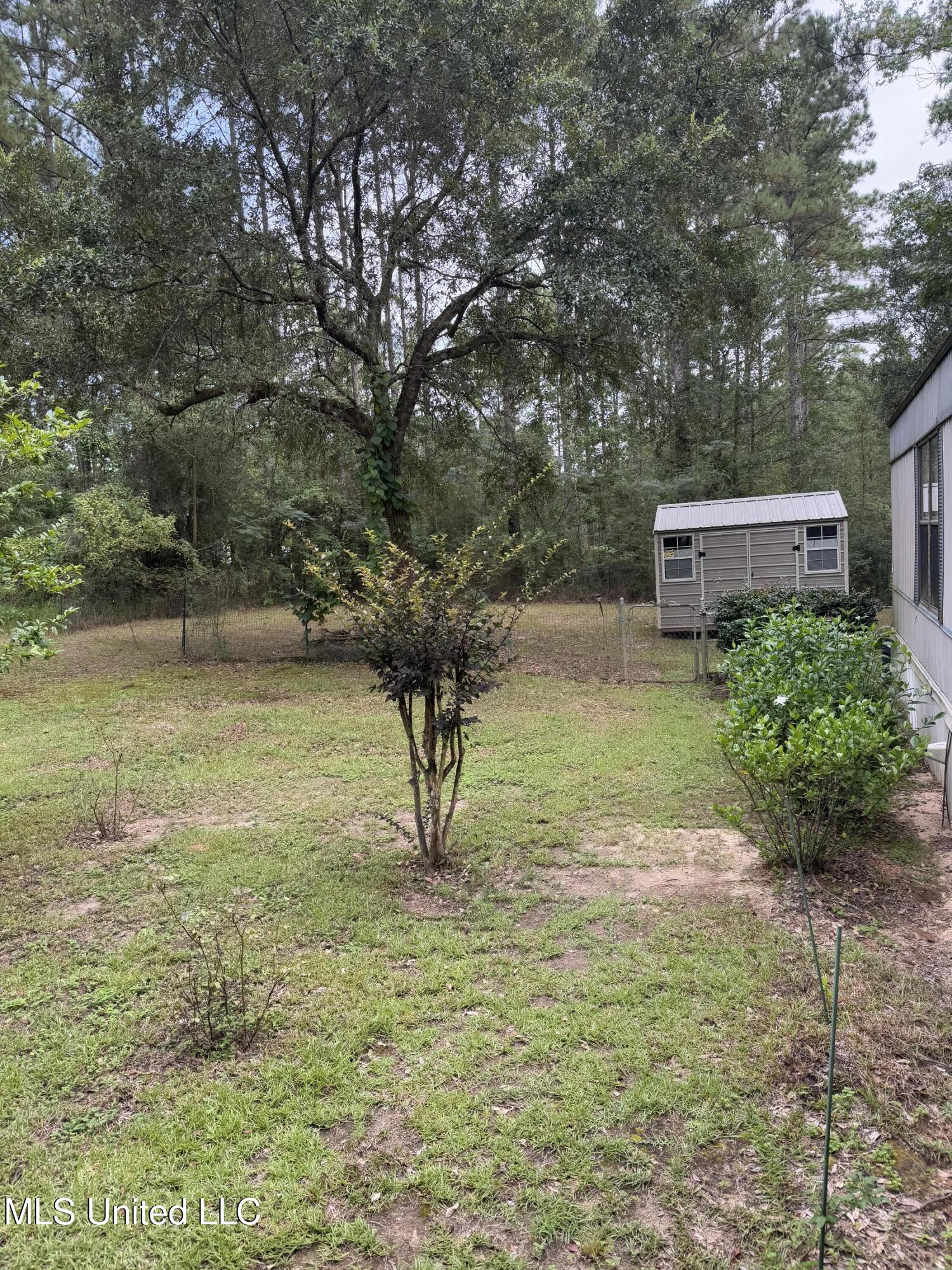 143 Turkey Pine Road Lucedale, MS 39452 - Photo 24 of 24 IMG_5025