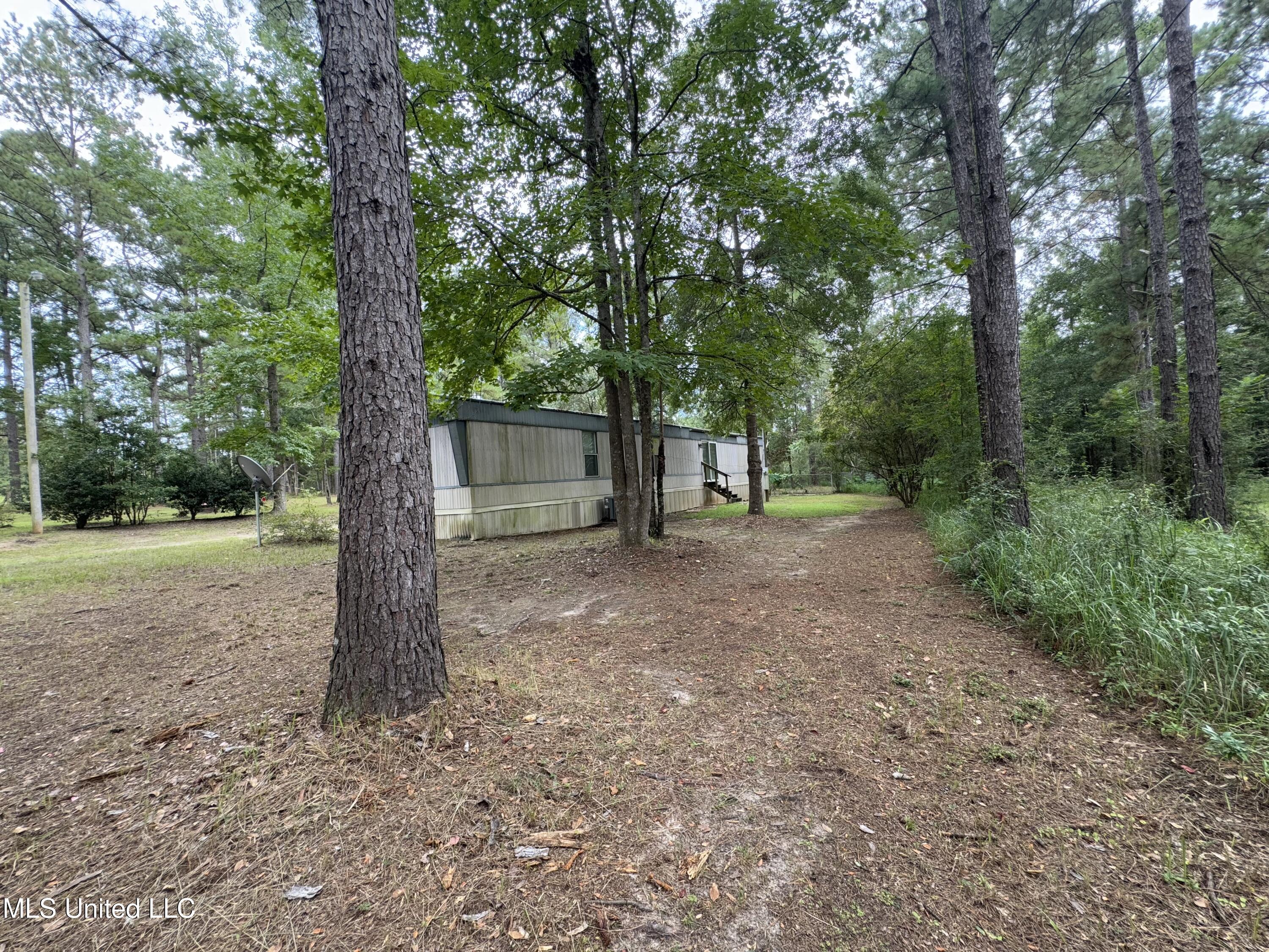 143 Turkey Pine Road Lucedale, MS 39452 - Photo 5 of 24 IMG_4996