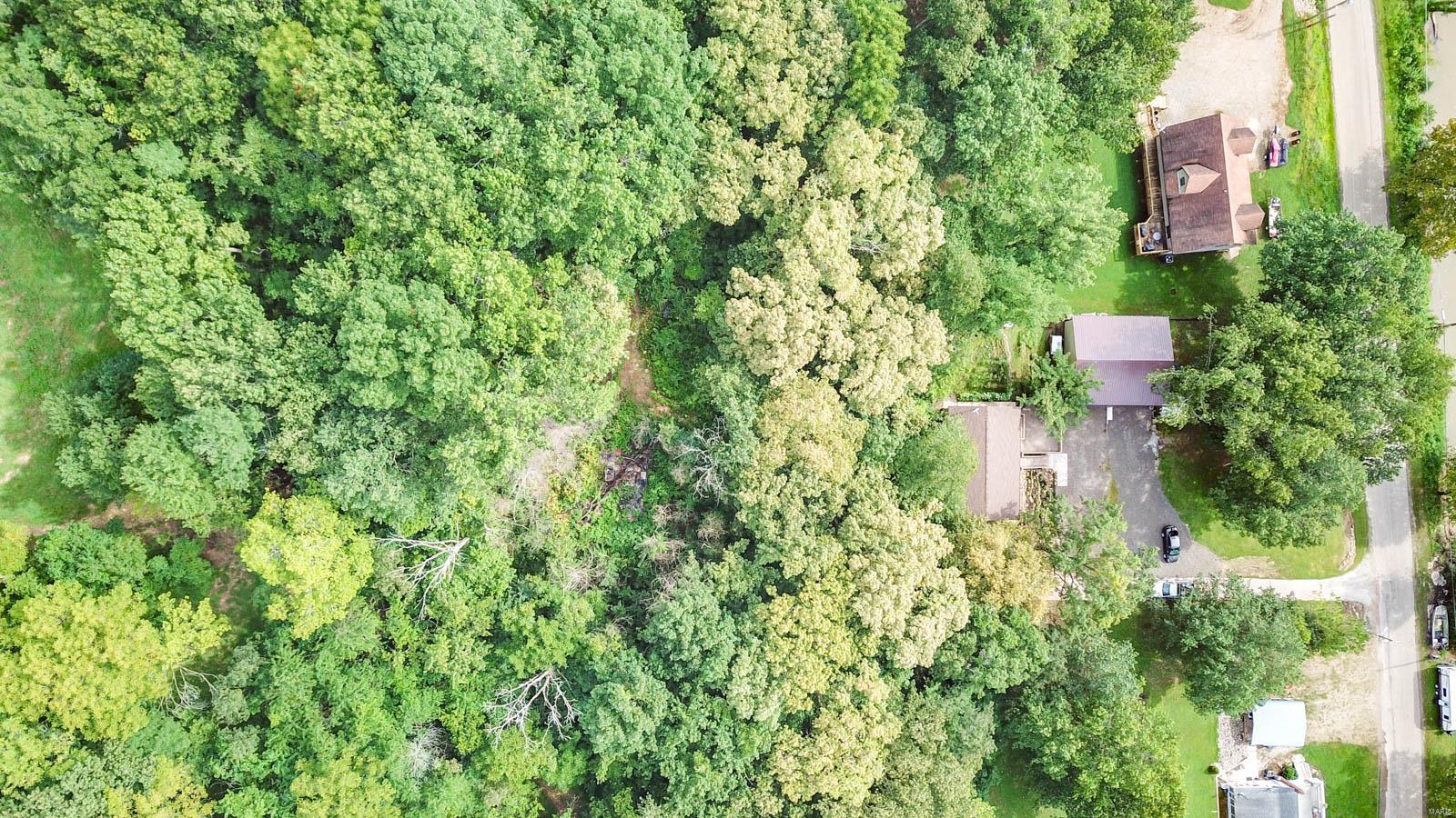 27070 Beltrees Road Godfrey, IL 62035 - Photo 4 of 43