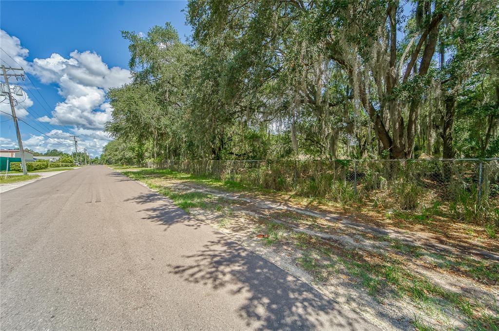 Turkey Creek Road Plant City, FL 33566 - Photo 12 of 35 a view of a road with a yard