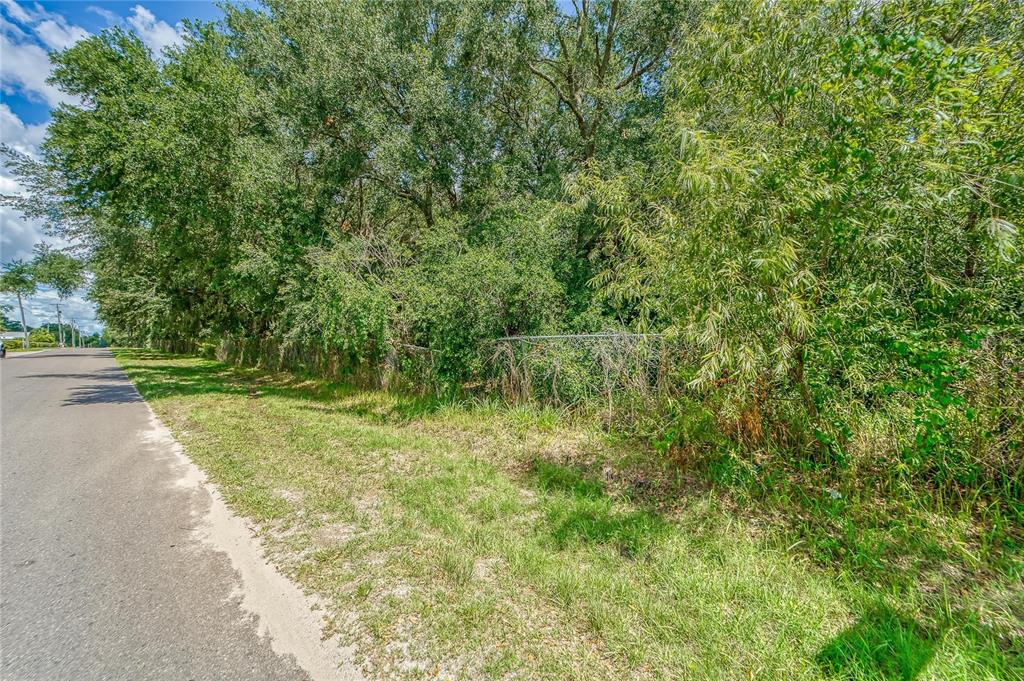 Turkey Creek Road Plant City, FL 33566 - Photo 14 of 35 a view of a yard with plants and trees beside of it