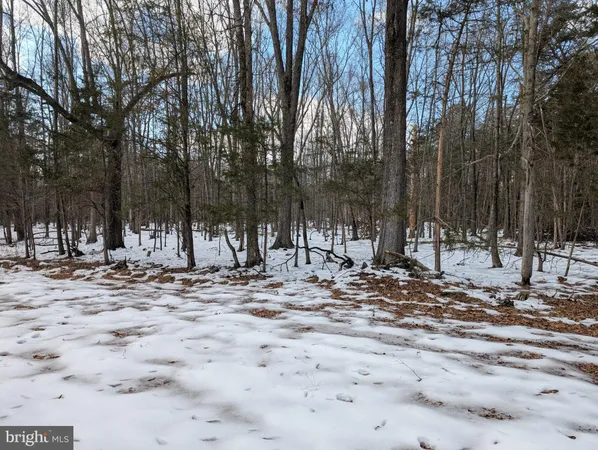 a black and white photo of a small house