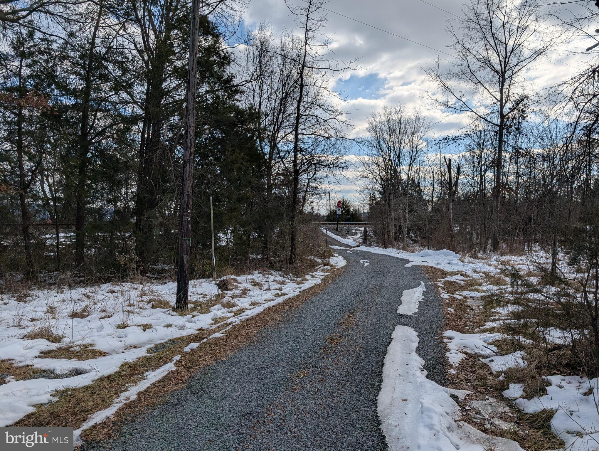 Rapidan Road Rapidan, VA 22733 - Photo 3 of 12 a view of a yard covered in snow