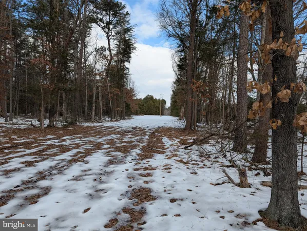 a view of outdoor space with trees
