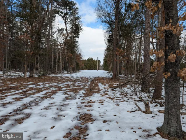 a view of outdoor space with trees