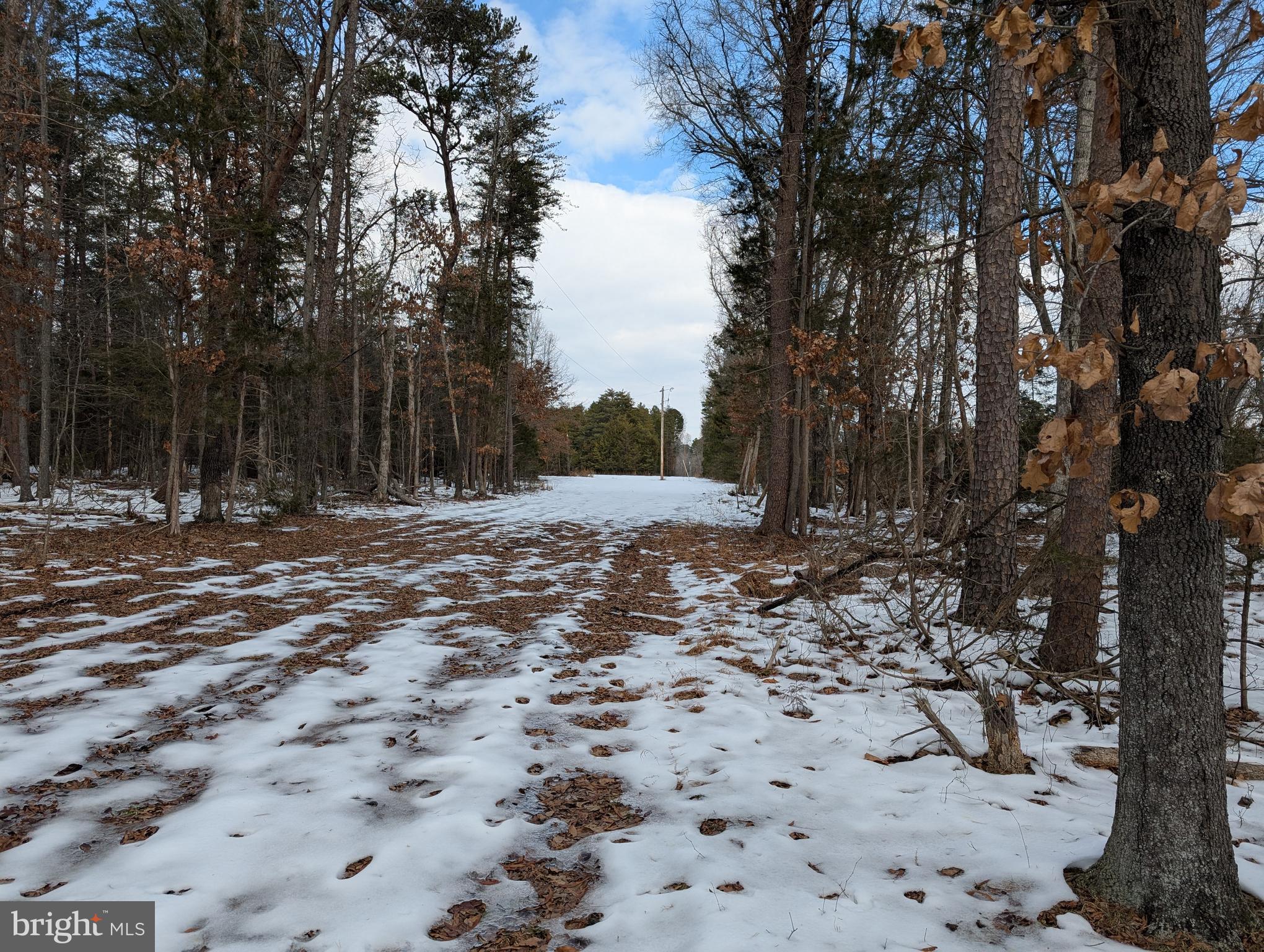 Rapidan Road Rapidan, VA 22733 - Photo 5 of 12 a view of outdoor space with trees
