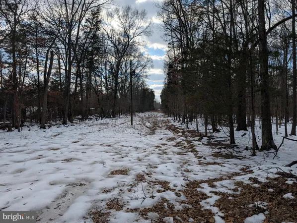a view of a yard covered in snow