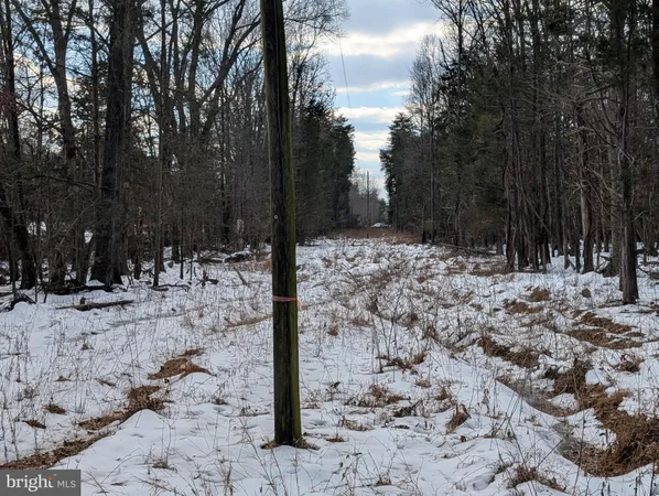a view of road and trees