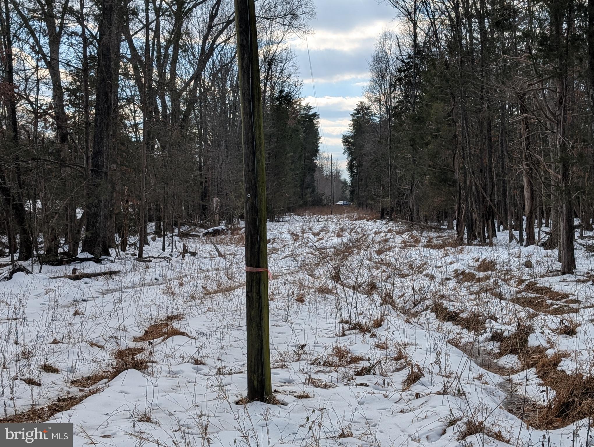Rapidan Road Rapidan, VA 22733 - Photo 7 of 12 a view of a yard covered in snow