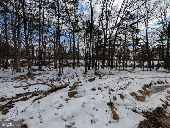 a view of a yard covered with snow in the backyard