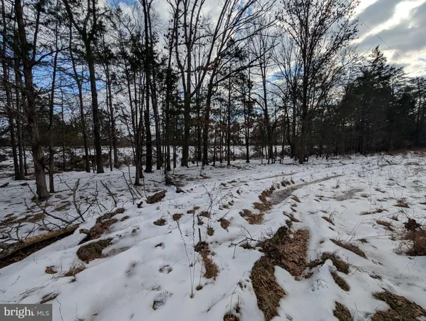 a view of a yard covered in snow
