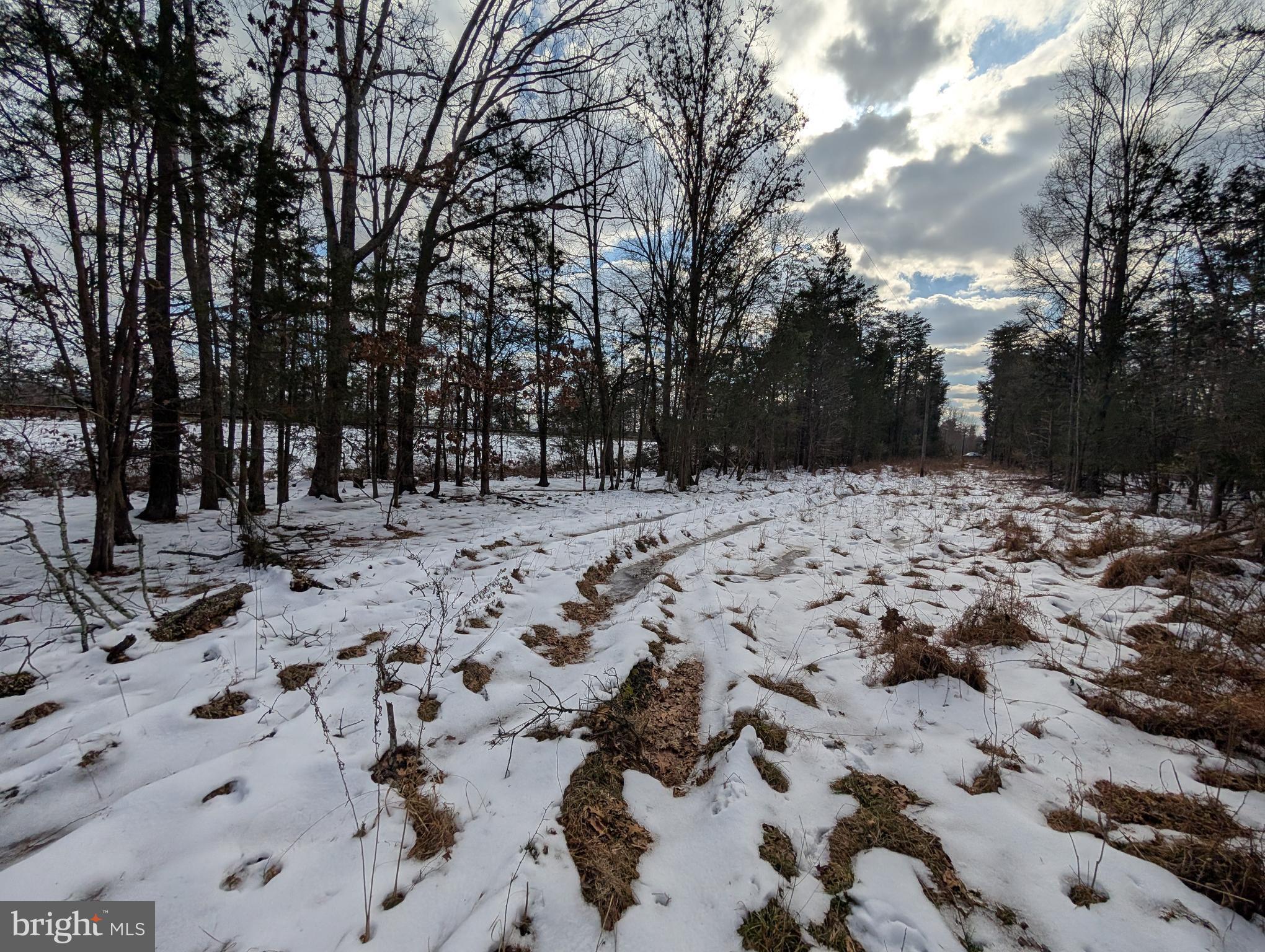 Rapidan Road Rapidan, VA 22733 - Photo 10 of 12 a view of a yard covered in snow