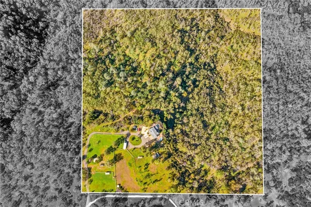 a living room with furniture and window