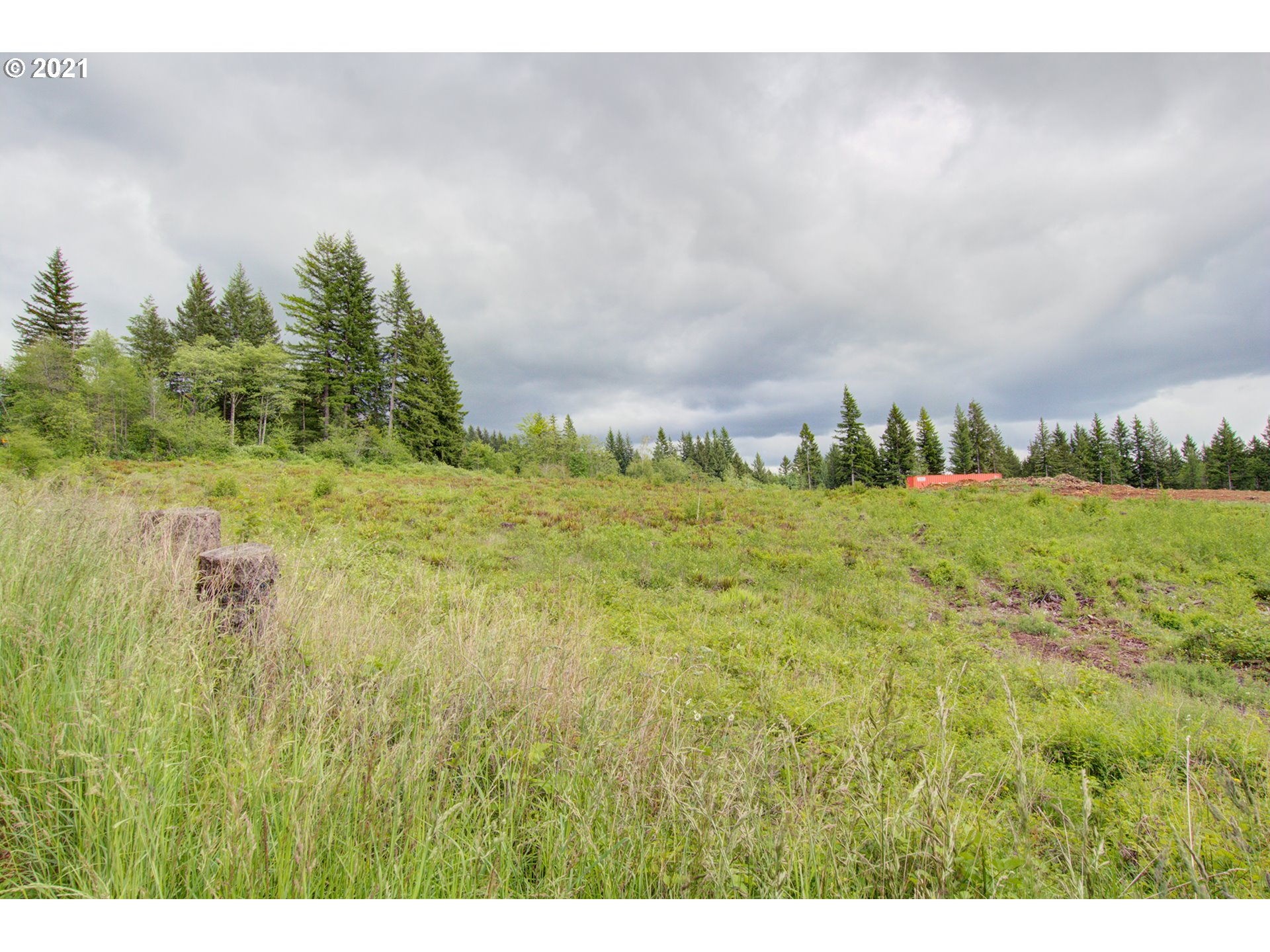 0 Northeast Berry Road, Unit 2 Battle Ground, WA 98604 - Photo 2 of 5