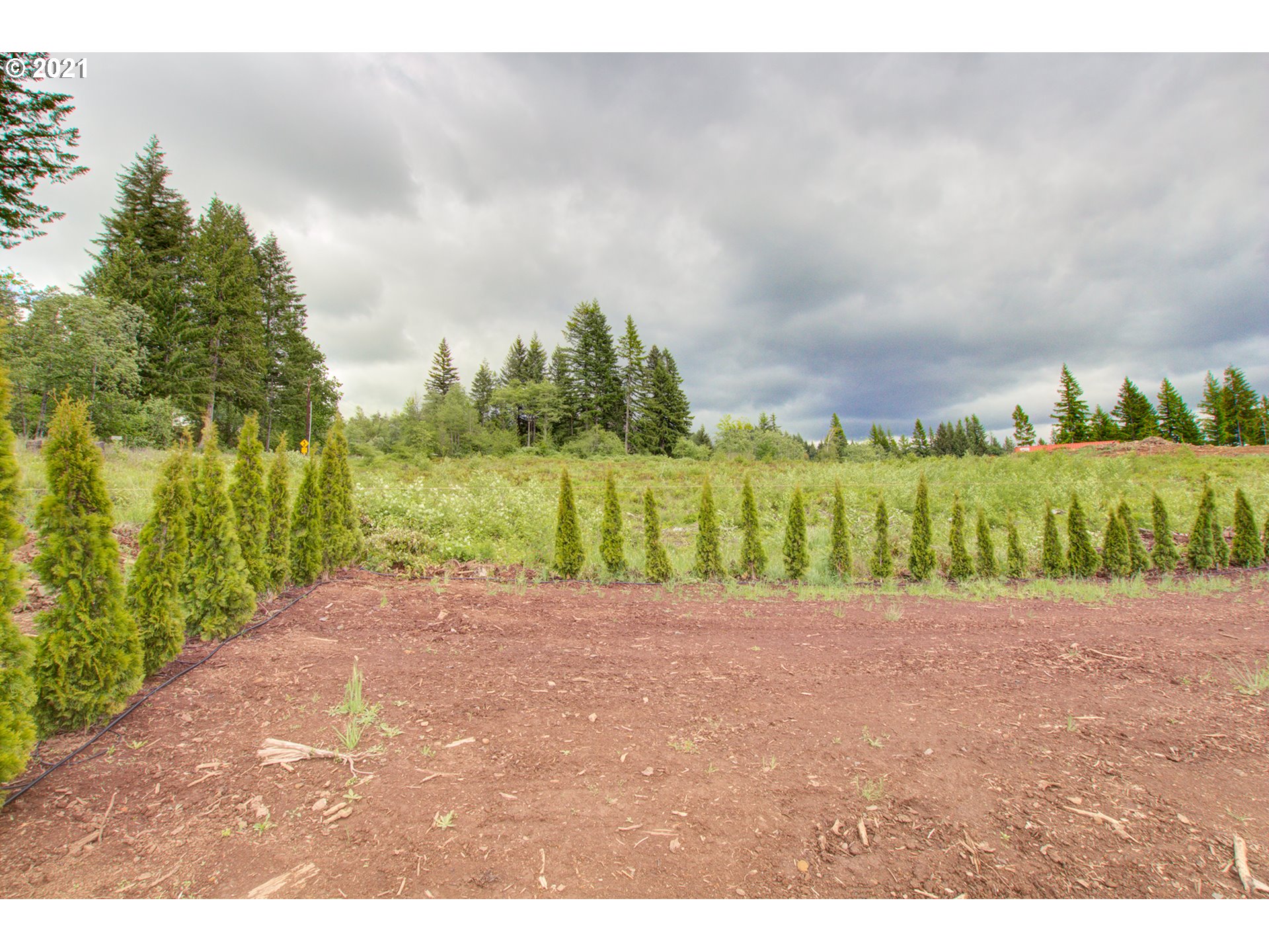 0 Northeast Berry Road, Unit 2 Battle Ground, WA 98604 - Photo 5 of 5