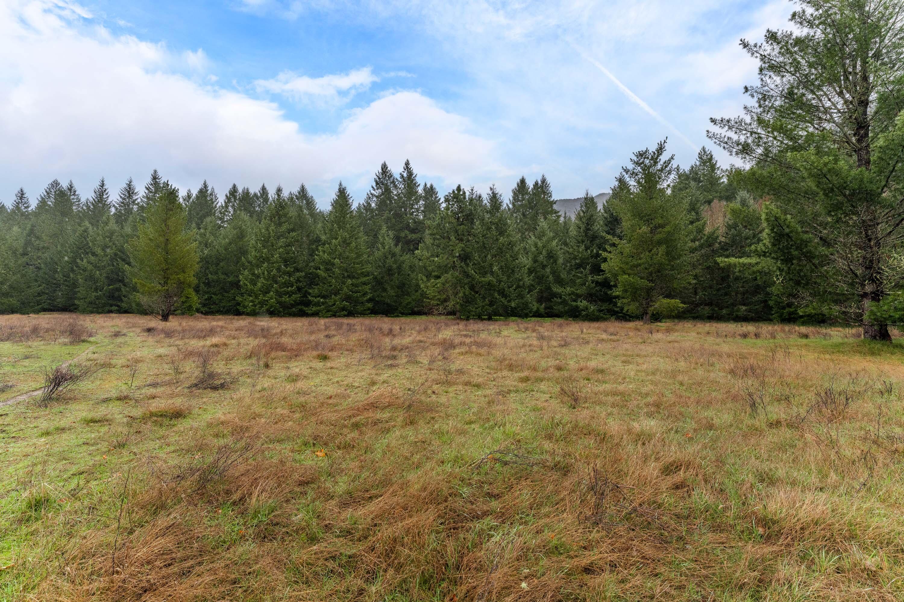 0 Upper Cow Creek Road Azalea, OR 97410 - Photo 21 of 28 EXT2 (17 of 19)