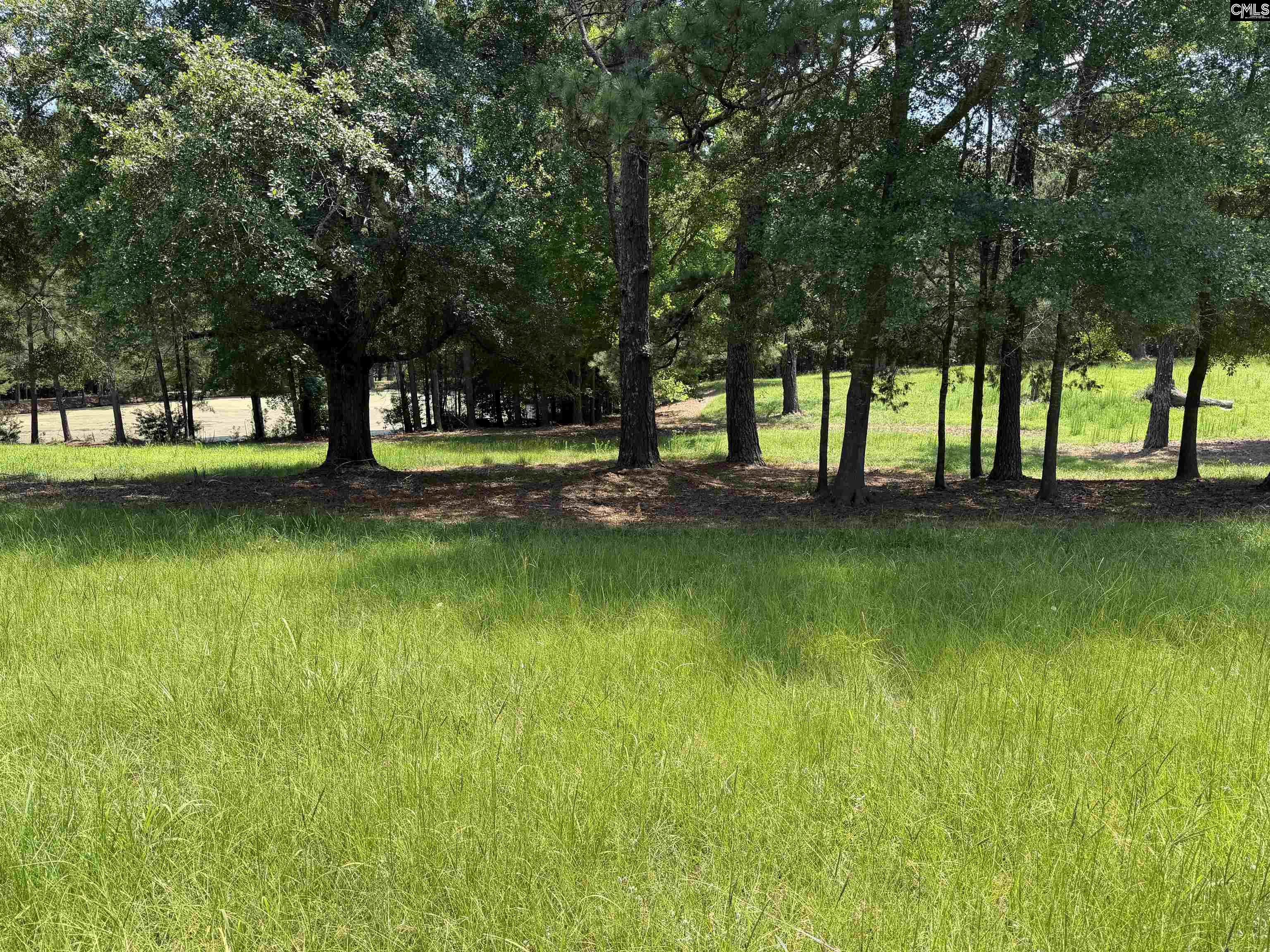 812 Sandfield Road Blythewood, SC 29016 - Photo 1 of 25