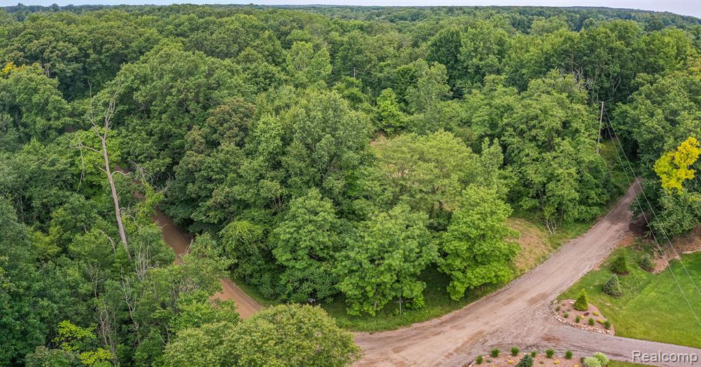 0 Pond Road Leonard, MI 48367 - Photo 4 of 9