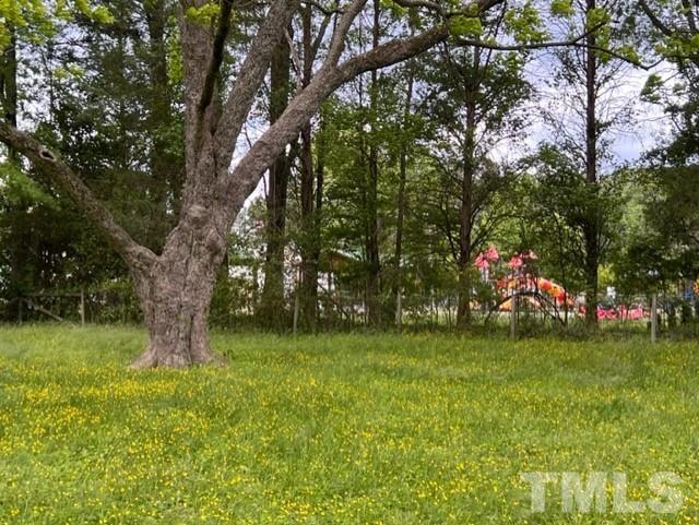 105 Creedmoor Road Stem, NC 27581 - Photo 43 of 52 Gallery Image 43