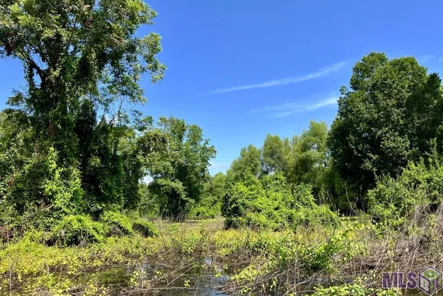 $833,805 | 26 Cat Island Road, St. Francisville, LA 70775