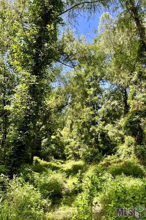 $833,805 | 26 Cat Island Road, St. Francisville, LA 70775