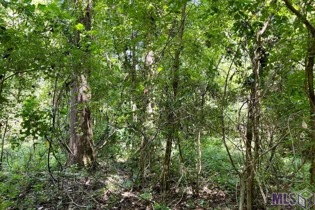 $833,805 | 26 Cat Island Road, St. Francisville, LA 70775