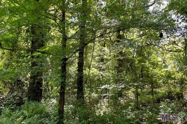 $833,805 | 26 Cat Island Road, St. Francisville, LA 70775