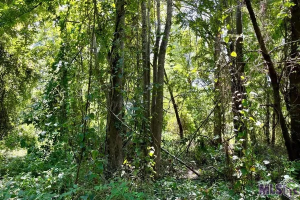 $833,805 | 26 Cat Island Road, St. Francisville, LA 70775