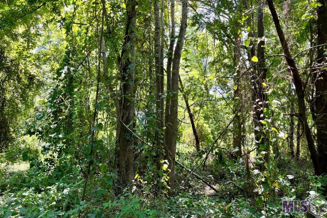 26 Cat Island Road St. Francisville, LA 70775 - Photo 19 of 29