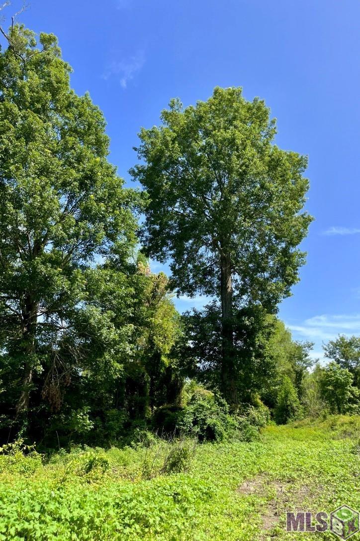 26 Cat Island Road St. Francisville, LA 70775 - Photo 20 of 29