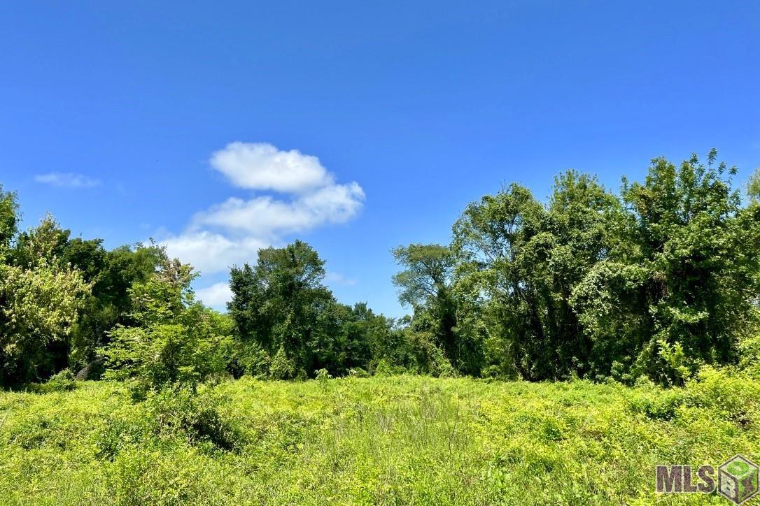 26 Cat Island Road St. Francisville, LA 70775 - Photo 21 of 29