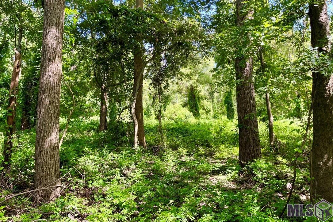 26 Cat Island Road St. Francisville, LA 70775 - Photo 22 of 29