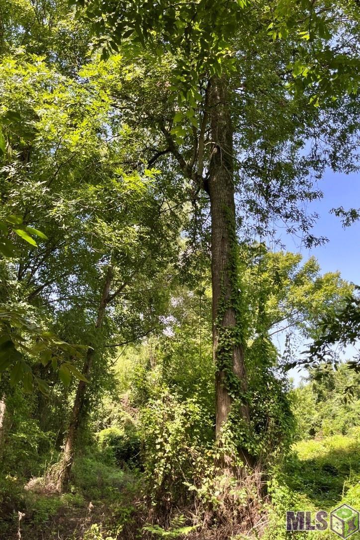 26 Cat Island Road St. Francisville, LA 70775 - Photo 25 of 29