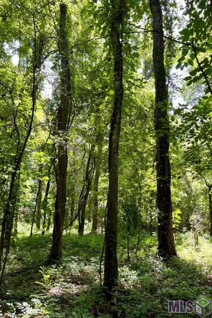 $833,805 | 26 Cat Island Road, St. Francisville, LA 70775
