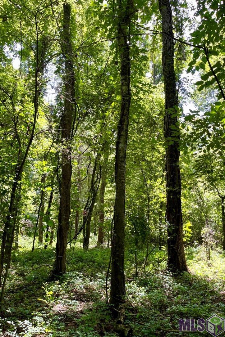 26 Cat Island Road St. Francisville, LA 70775 - Photo 27 of 29