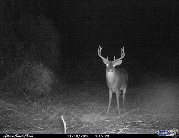 $833,805 | 26 Cat Island Road, St. Francisville, LA 70775